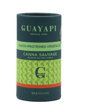 Canna Sauvage