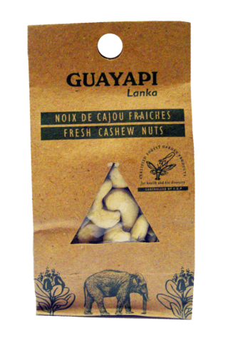 Noix de Cajou Fraiches du Sri Lanka