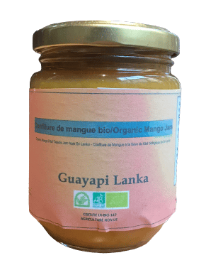 Fruité de Mangue Bio