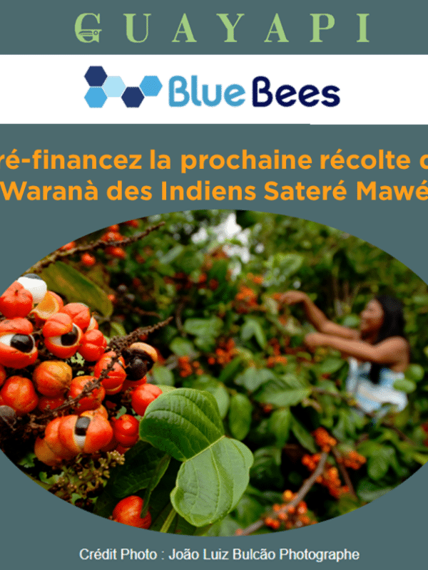 campagne pre finanacement warana bluebees