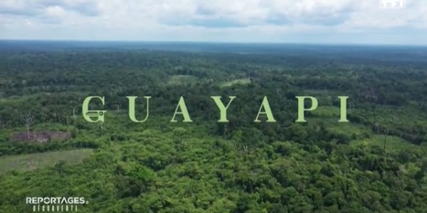 Guayapi au cœur de l’Amazonie